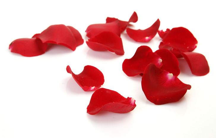 Petal DIY How to Make Rose Petal Beads from Your Valentine39s Day Bouquets