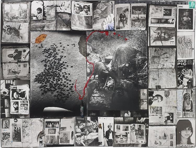Image result for into the wild: Journey into the world of Peter Beard