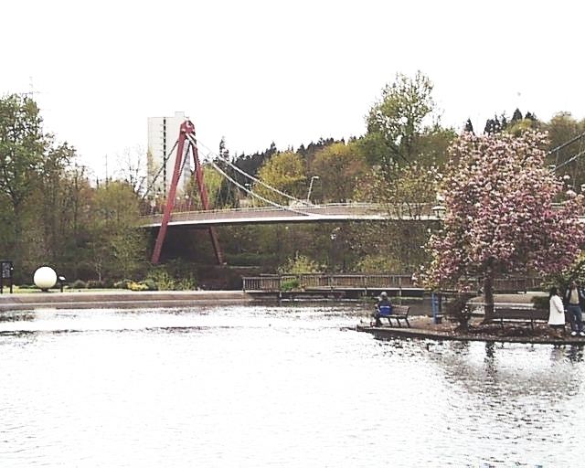 Peter DeFazio Bridge
