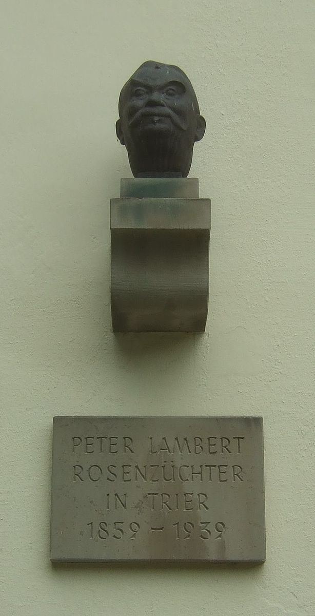 Peter Lambert (rosarian)