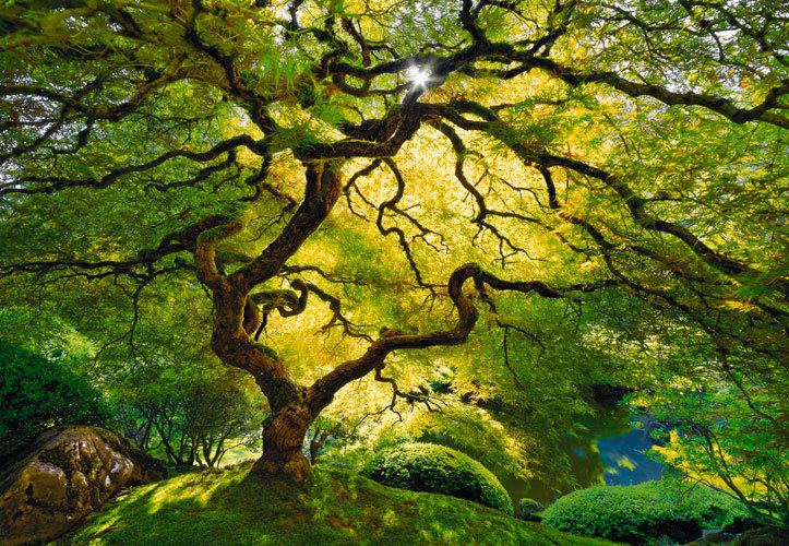 Peter Lik Blog Another Peter Lik Masterpiece Exhibited at Smithsonian