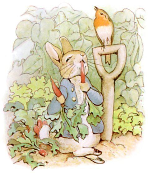 Peter Rabbit httpsuploadwikimediaorgwikipediacommons44
