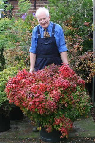 Peter Seabrook Chatting with Gardening Guru Peter Seabrook Lynne Allbutt
