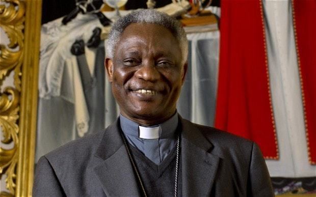 Peter Turkson Pope resigns Peter Turkson reveals vision for the Church
