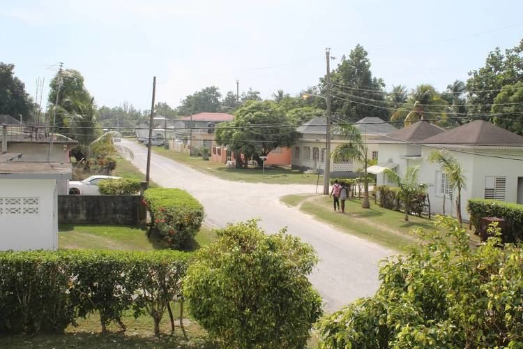 Petersfield, Jamaica American Students Experience 39Village Tourism39 in Westmoreland Re