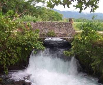 Petersfield, Jamaica Serve and Learn in Jamaica Amizade