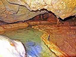 Pete's Paradise Cave httpsuploadwikimediaorgwikipediacommonsthu