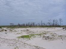 Petit Bois Island (Mississippi) httpsuploadwikimediaorgwikipediaenthumb1