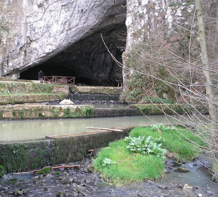 Petnica Cave