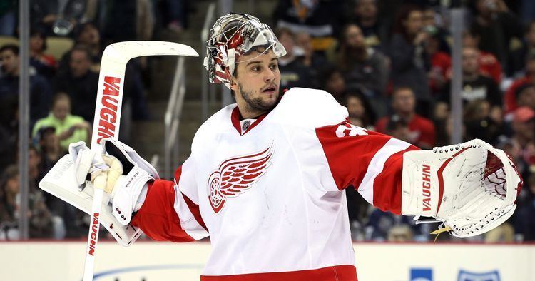 Petr Mrázek St James Which goalie should start next for Detroit Red Wings