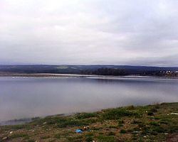 Petrel Lake httpsuploadwikimediaorgwikipediacommonsthu