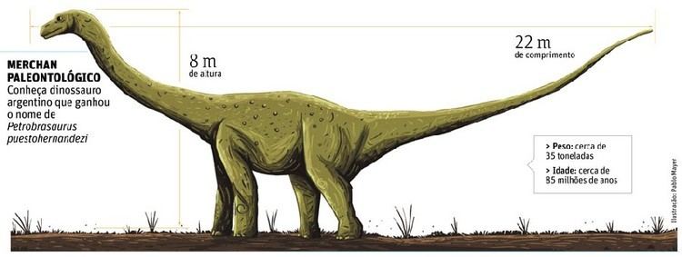 Petrobrasaurus imagesdinosaurpicturesorgPetrobrasaurusb0eajpg