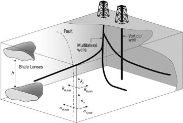 Petroleum production engineering 12 Components of the Petroleum Production System The Role of