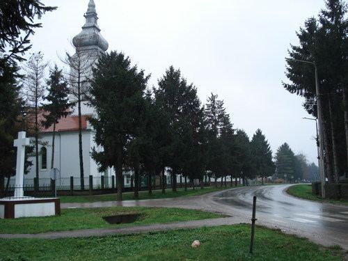 Petrovci, Croatia httpsmw2googlecommwpanoramiophotosmedium