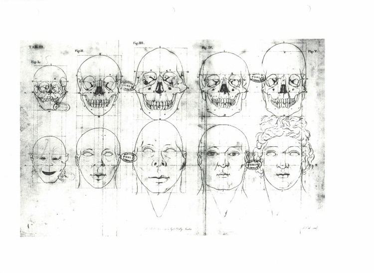 Petrus Camper Illustration of Facial Angles by Petrus Camper Dutch