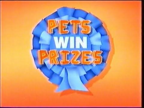 Pets Win Prizes httpsiytimgcomviyqRYfKNIWYhqdefaultjpg