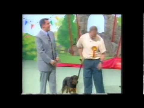 Pets Win Prizes Pets Win Prizes 1996 YouTube