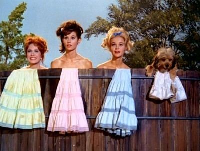 Petticoat Junction Petticoat Junction The Official Third Season DVD Talk Review of