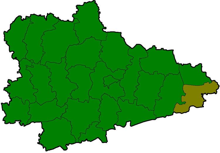 Petukhovsky District