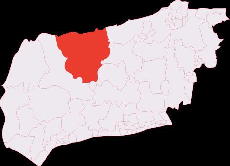 Petworth (electoral division)
