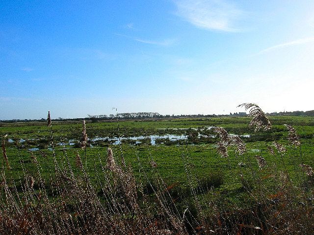 Pevensey Levels Pevensey Levels Simon Carey Geograph Britain and Ireland