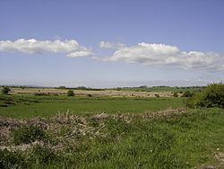 Pevensey Levels httpsuploadwikimediaorgwikipediacommonsthu