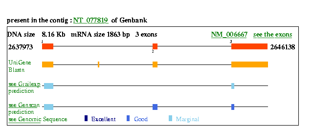 PGRMC1 Genatlas sheet