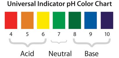 PH indicator pH and Color Change Chapter 6 Chemical Change Middle School