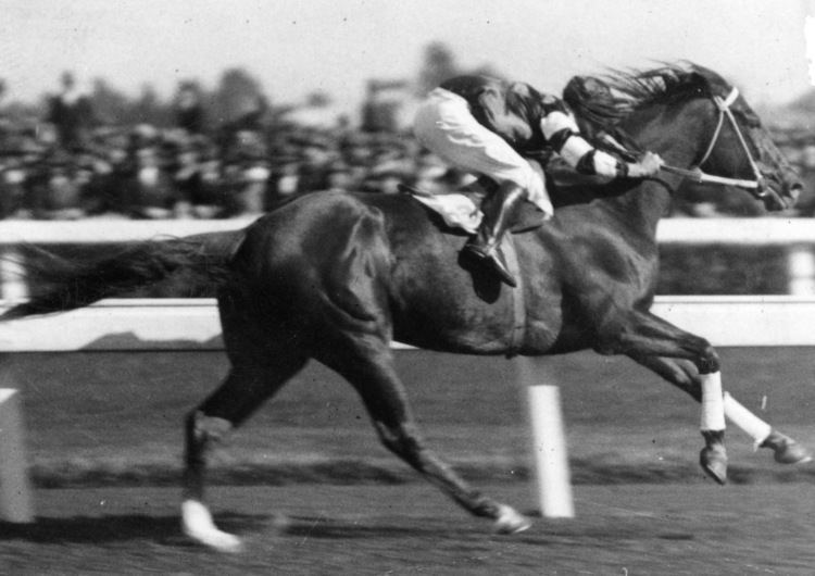 Phar Lap 1000 images about Phar Lap on Pinterest Statue of The horse and