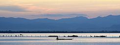 Phayao Lake httpsuploadwikimediaorgwikipediacommonsthu