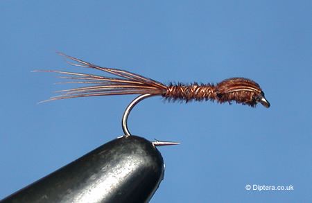 Pheasant Tail Nymph Tying Instructions for the Pheasant Tail Nymph