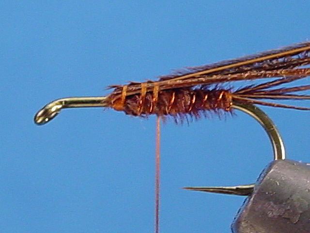 Pheasant Tail Nymph Charlie39s FlyBox Colorado39s Best FlyShop and online Fly Tying