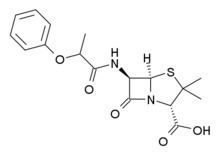 Pheneticillin httpsuploadwikimediaorgwikipediacommonsthu