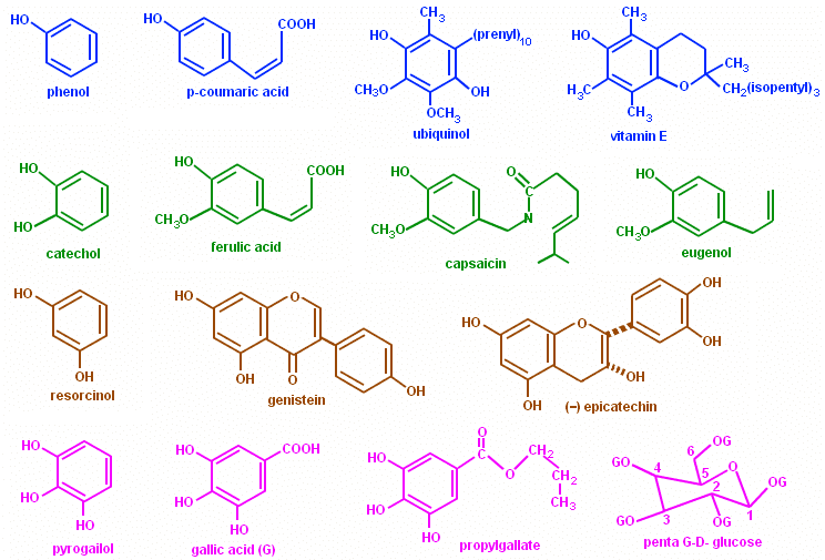 Phenols Phenolic Compounds Phenolic Compounds in Plants Chemistry