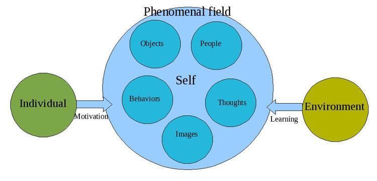 Phenomenal field theory