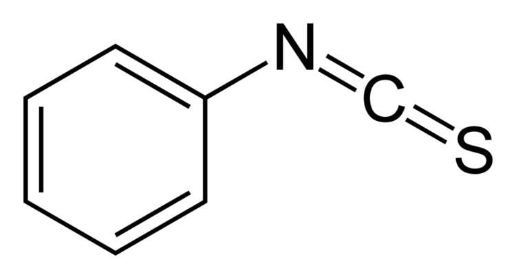 Phenyl isothiocyanate FilePhenylisothiocyanate2Dskeletalpng Wikimedia Commons