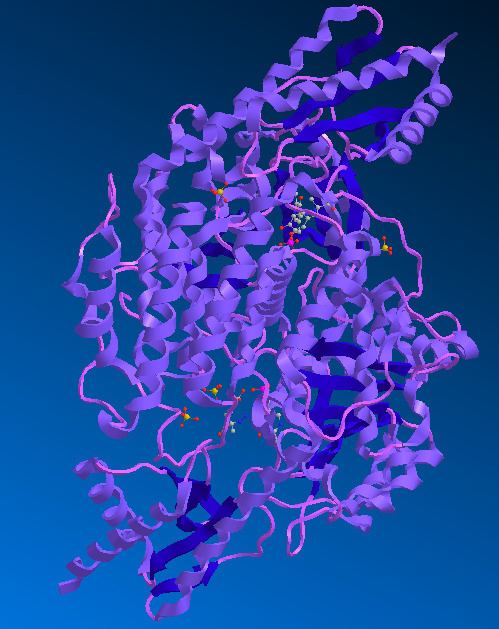 Phenylalanine decarboxylase