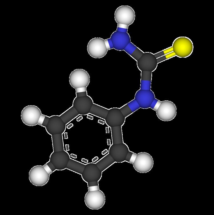 Phenylthiocarbamide FilePhenylthiocarbamide3Dballspng Wikimedia Commons