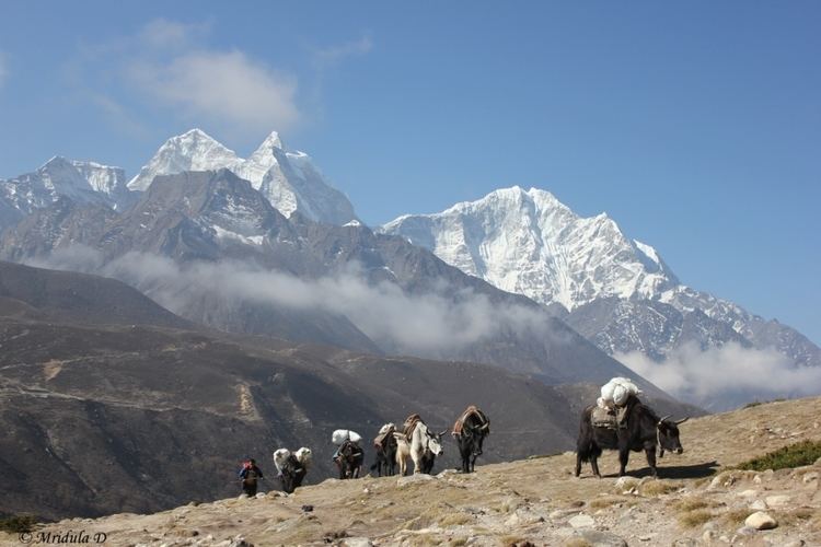 Pheriche Everest Base Camp trek Day 10 Pheriche to Namche Travel Tales