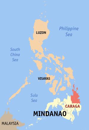 Philippine House of Representatives elections, 2010 (Caraga)
