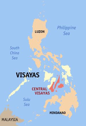 Philippine House of Representatives elections, 2010 (Central Visayas)