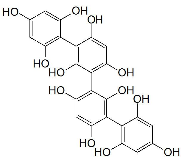 Phlorotannin