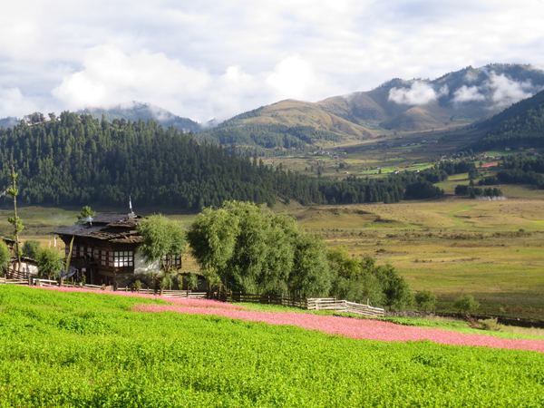 Phobjikha Valley Phobjikha Bhutan