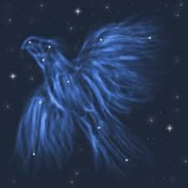 Phoenix (constellation) Phoenix constellation Home