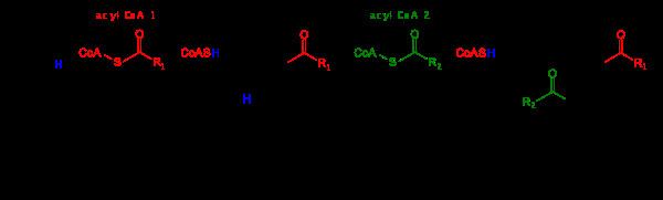 Phosphatidic acid Phosphatidic acid Wikipedia