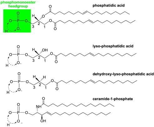 Biophysics and function of phosphatidic acid: A molecular perspective -  ScienceDirect