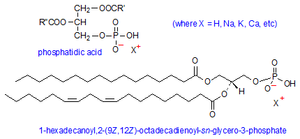 Phosphatidic acid Phosphatidic Acid amp Related Lipids AOCS Lipid Library