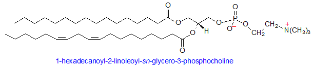 Phosphatidylcholine Phosphatidylcholine lysophosphatidylcholine structure occurrence