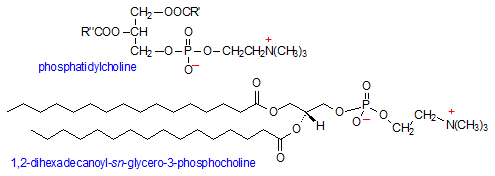 Phosphatidylcholine Phosphatidylcholine AOCS Lipid Library