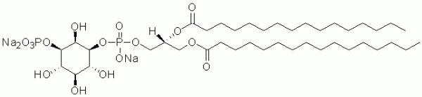 Phosphatidylinositol 3-phosphate Product Details for Phosphatidylinositol 3phosphate diC16 PI3P